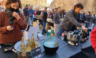 L'Embutada, la Festa del Vi Novell / la Fiesta del Vino Nuevo de Tarragona